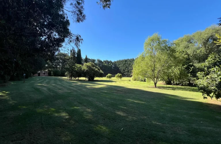 D_903987-MLA74839475252_032024-F